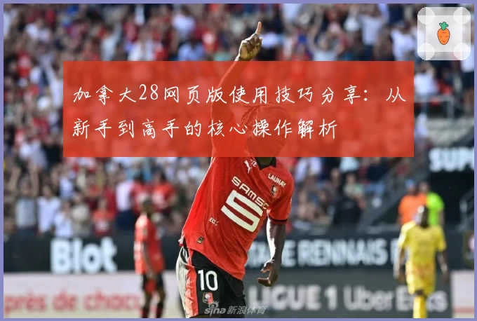 加拿大28网页版使用技巧分享:从新手到高手的核心操作解析