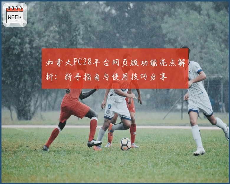 加拿大PC28平台网页版功能亮点解析：新手指南与使用技巧分享