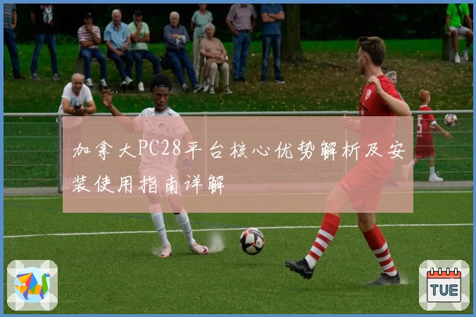 加拿大PC28平台核心优势解析及安装使用指南详解