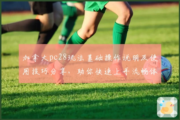 加拿大pc28玩法基础操作说明及使用技巧分享，助你快速上手流畅体验
