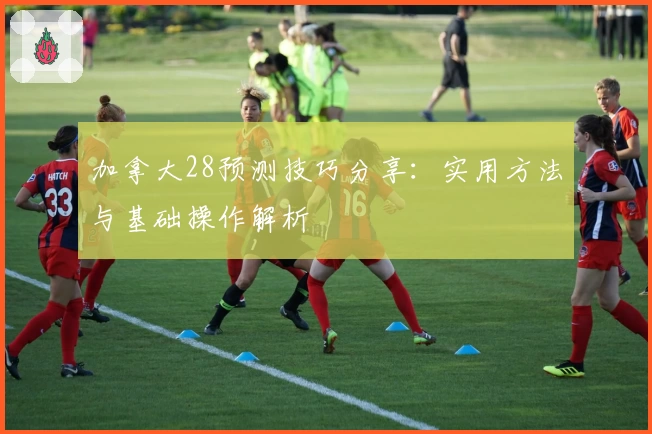 加拿大28预测技巧分享：实用方法与基础操作解析