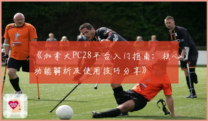 《加拿大PC28平台入门指南：核心功能解析及使用技巧分享》