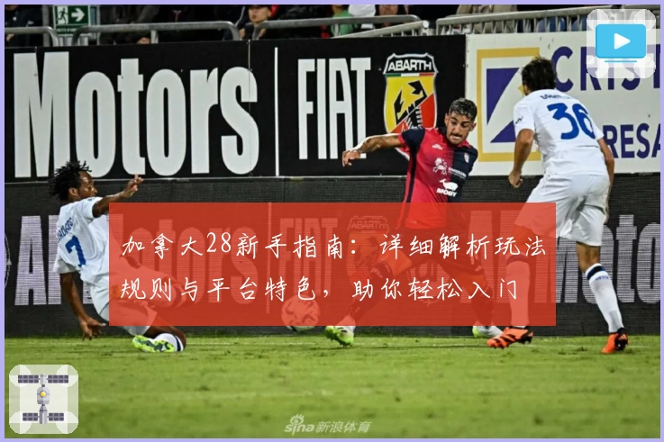 加拿大28新手指南：详细解析玩法规则与平台特色，助你轻松入门