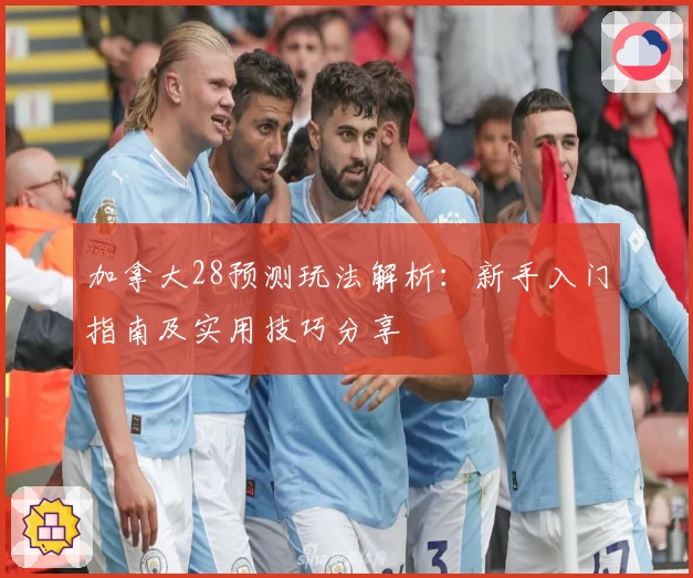 加拿大28预测玩法解析：新手入门指南及实用技巧分享