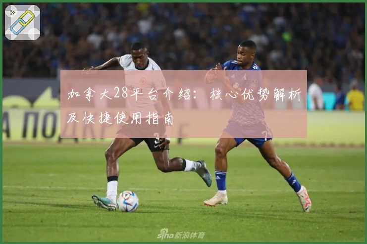 加拿大28平台介绍:核心优势解析及快捷使用指南