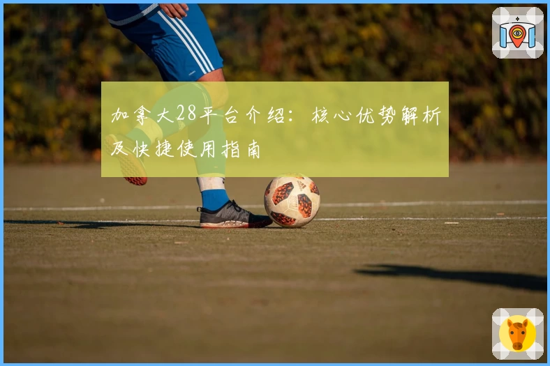 加拿大28平台介绍：核心优势解析及快捷使用指南