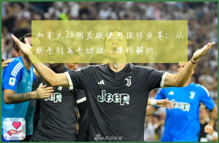 加拿大28网页版使用技巧分享：从新手到高手的核心操作解析